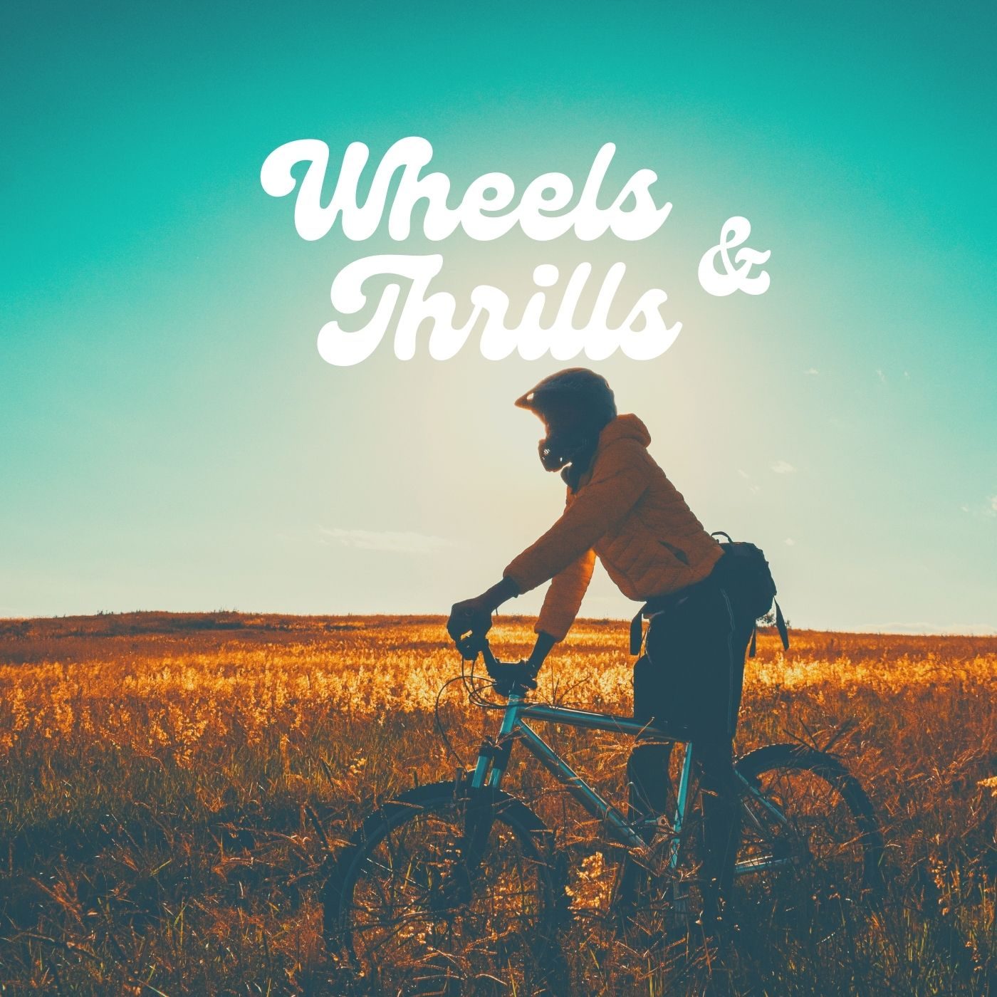 Wheels and Thrills Biking Adventure
