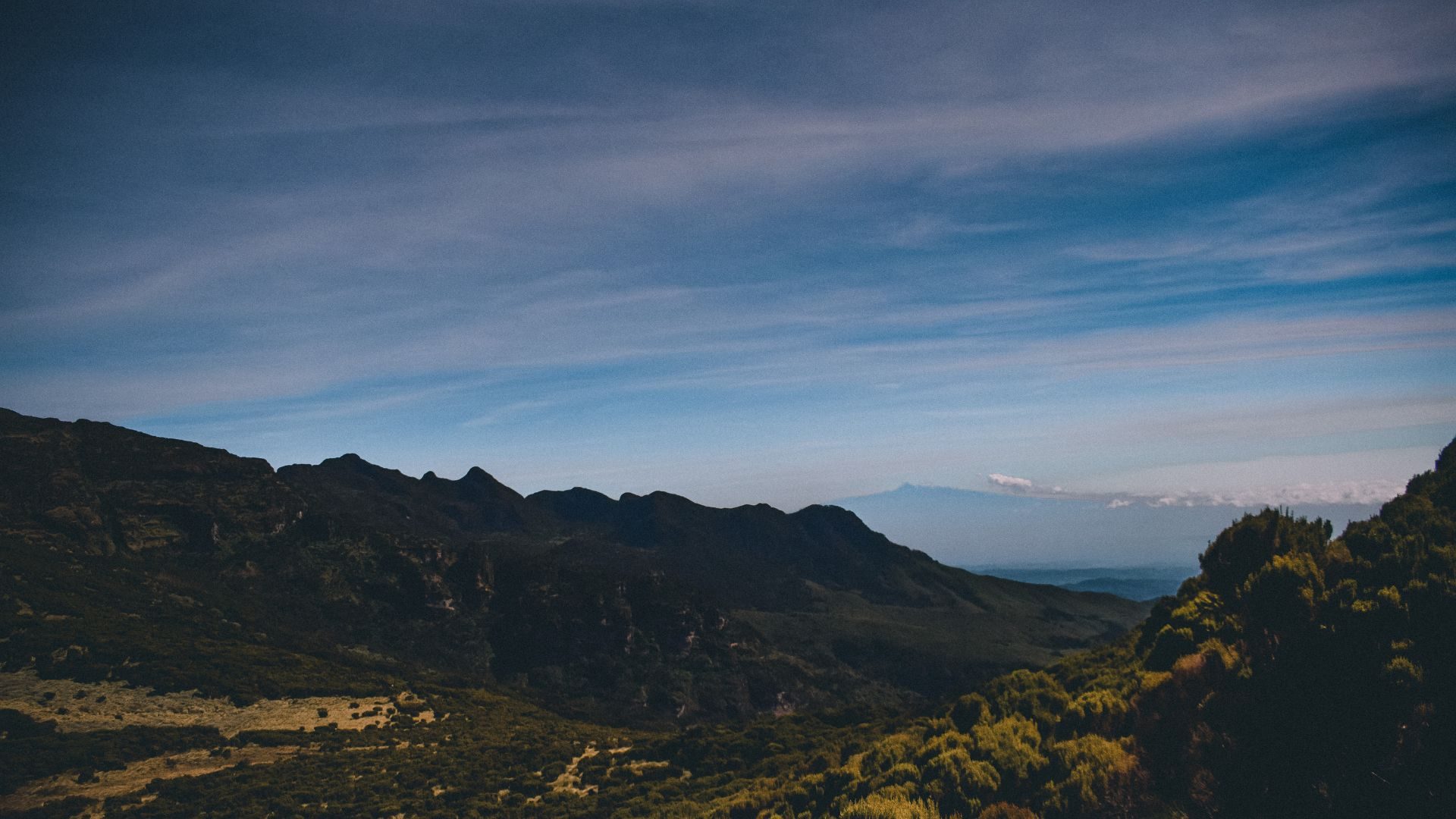 Off the Beaten Path to the Twelve Apostles