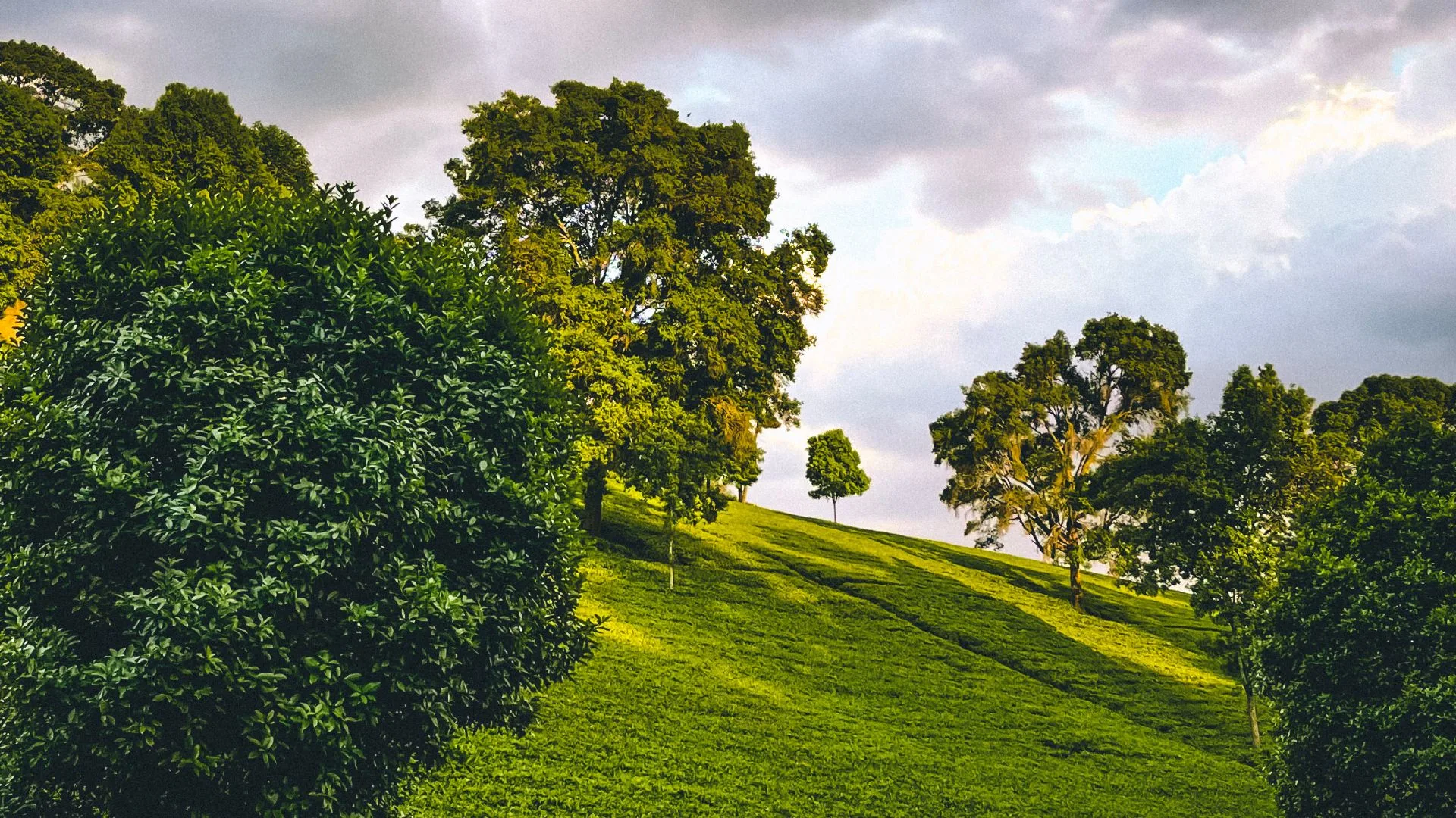 Website Banner Images (1)